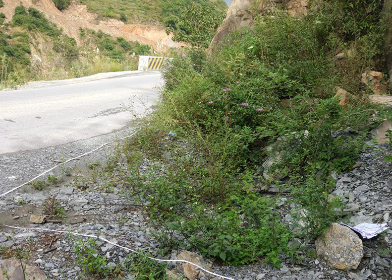 ԣ��ʡ��(j��)��Ȼ���o(h��)�^(q��)���B(t��i)Ӱ��(xi��ng)Ŀ