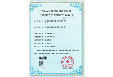 �ǻ����Δ�(sh��)��(j��)�Ʒ���(w��)��(y��ng)�ù���ƽ�_(t��i)V1.0